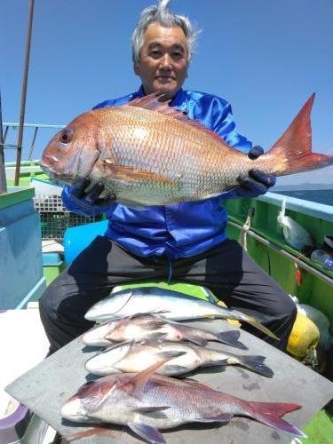マダイ・クロダイ・イナダ(ブリ)