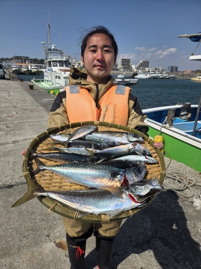アジ(マアジ)・サバ(マサバ)