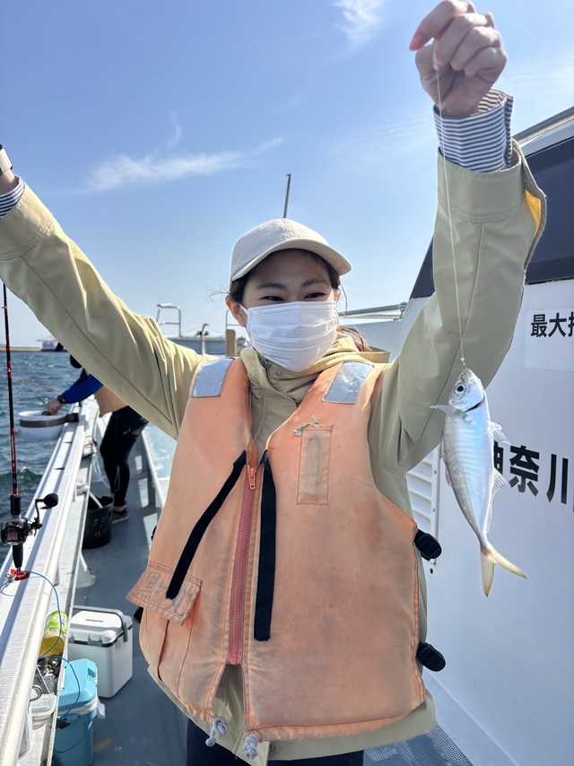 アジ(マアジ)