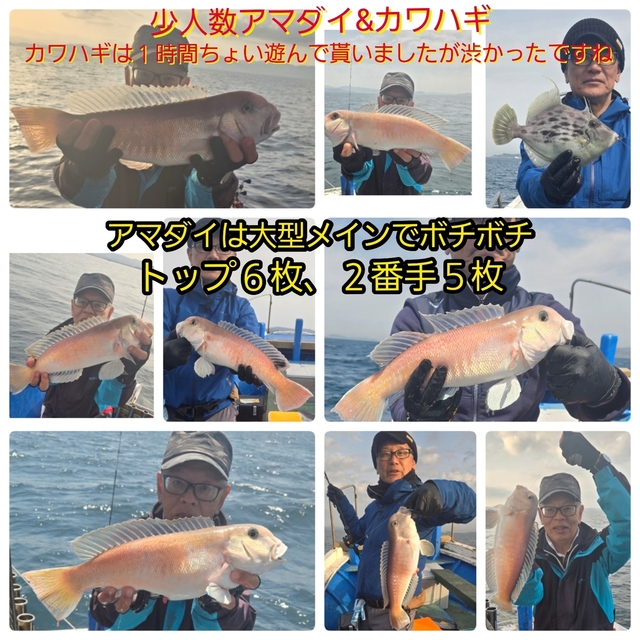 シロアマダイ