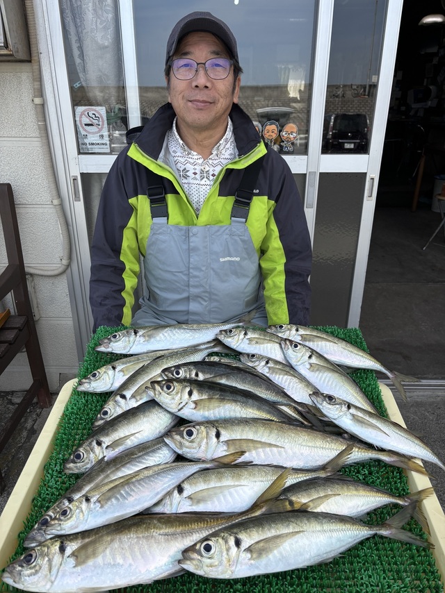 アジ(マアジ)