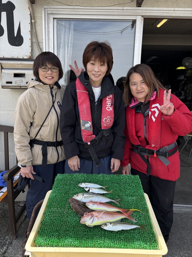 アジ(マアジ)
