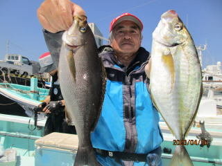 シマアジ・イサキ