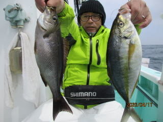 シマアジ・イサキ