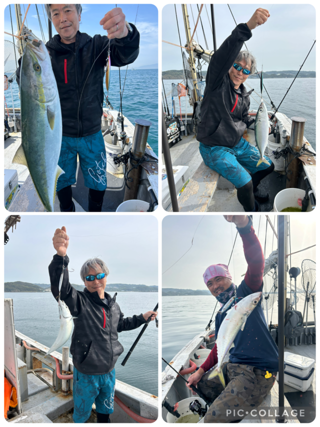 メジロ(ブリ)・マサバ