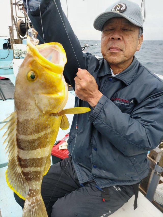 アオハタ