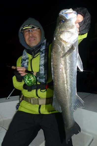 シーバス(スズキ)