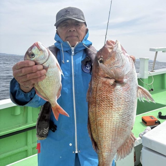 マダイ・ハナダイ(チダイ)