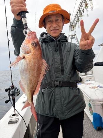 タイ(マダイ)