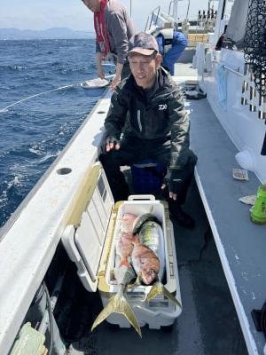 マダイ・メジロ(ブリ)