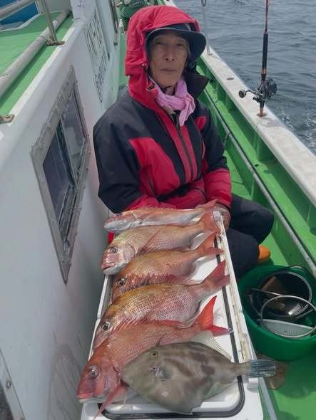 マダイ・ウマヅラ(ウマヅラハギ)