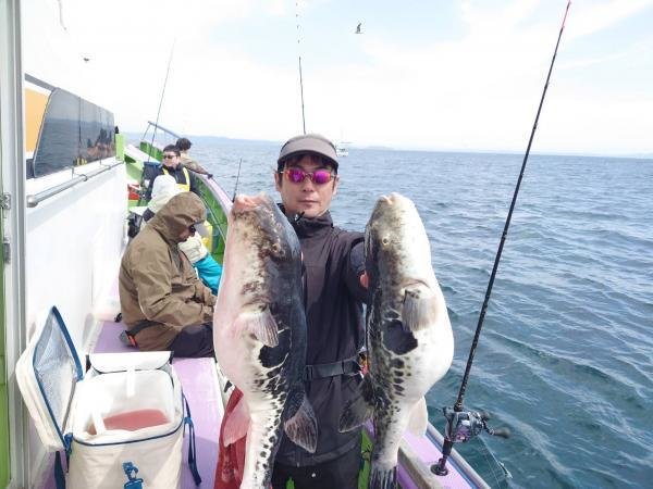 トラフグの釣果写真