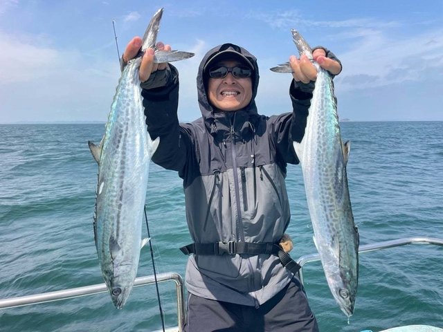 サゴシ(サワラ)