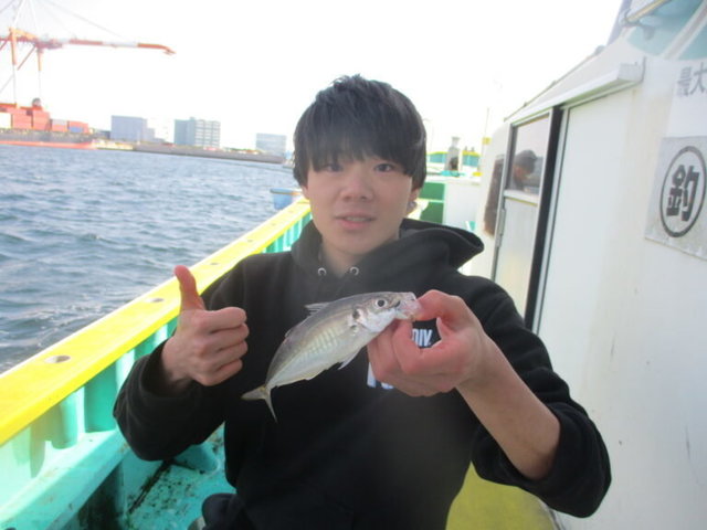 アジ(マアジ)