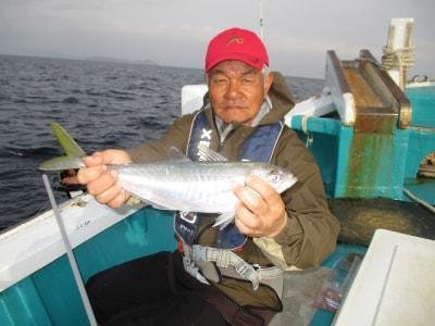 アジ(マアジ)