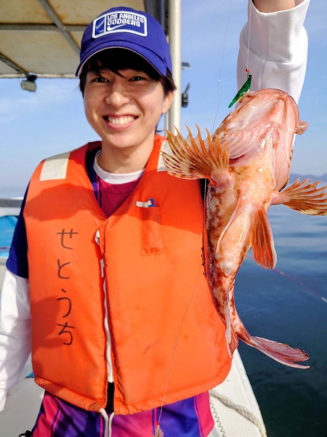 ガシラ(カサゴ)