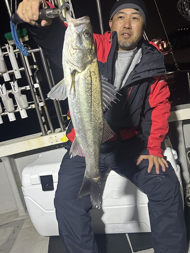 シーバス(スズキ)