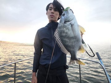 クロダイ