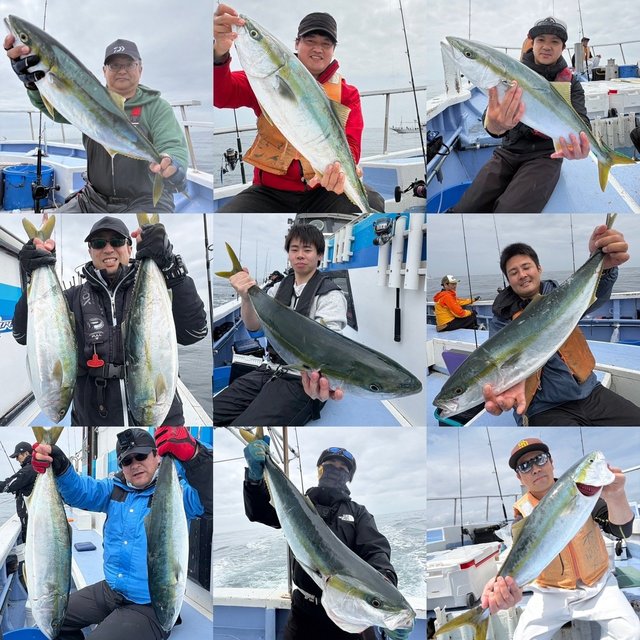 ブリ・ワラサ(ブリ)