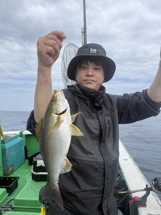 イサギ(イサキ)