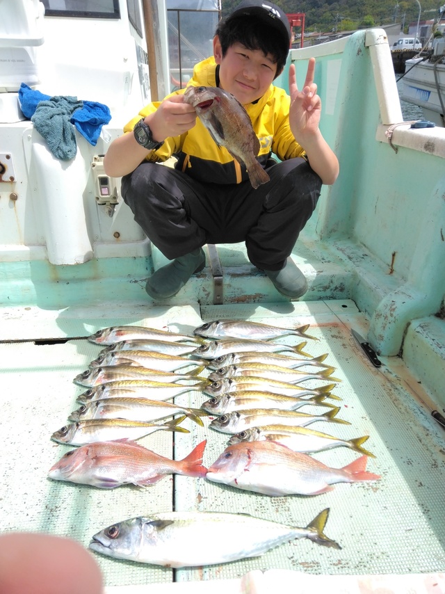 マダイ・チダイ・マアジ・マサバ・メバル