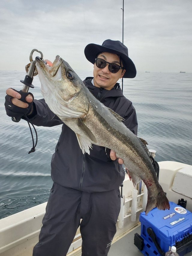 シーバス(スズキ)