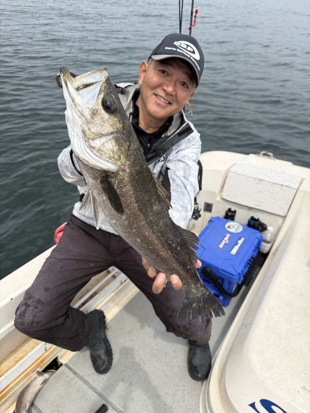 シーバス(スズキ)