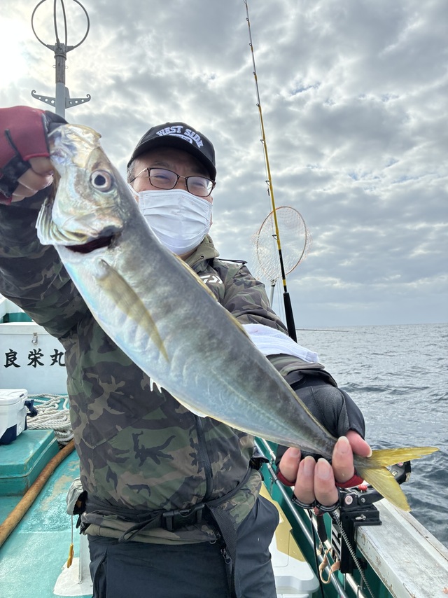マアジ