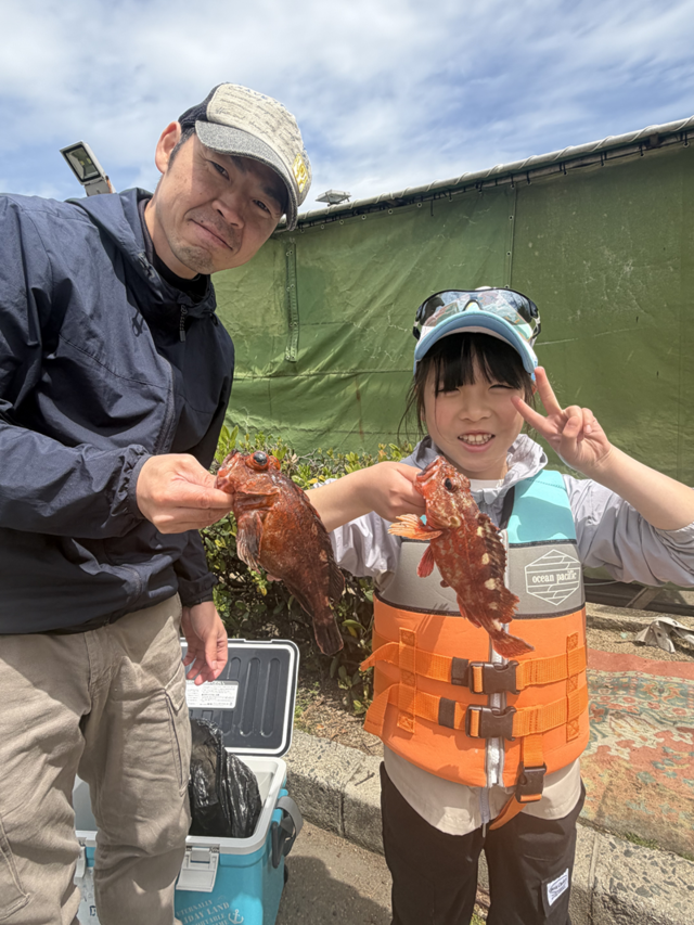 ガシラ(カサゴ)