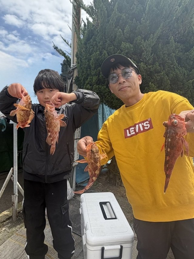 ガシラ(カサゴ)