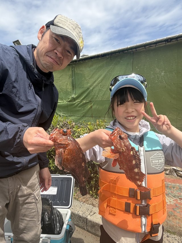 ガシラ(カサゴ)