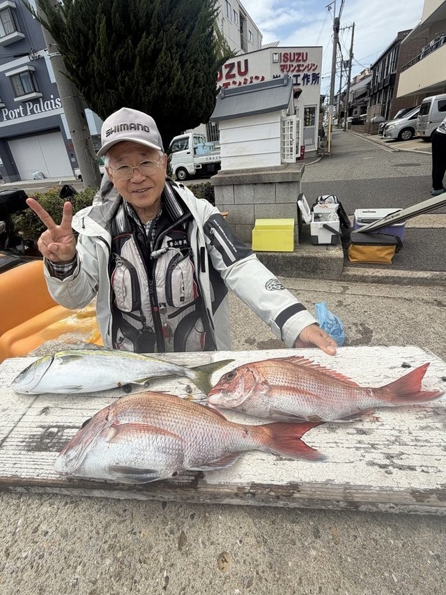 マダイ・ハマチ(ブリ)