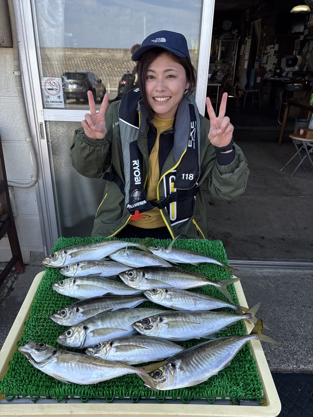 アジ(マアジ)
