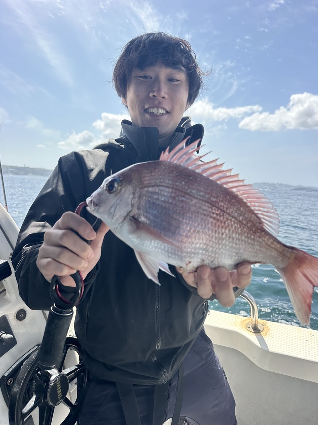 マダイ・シーバス・ホウボウ・トラフグ・サバフグ・マゴチの釣果写真