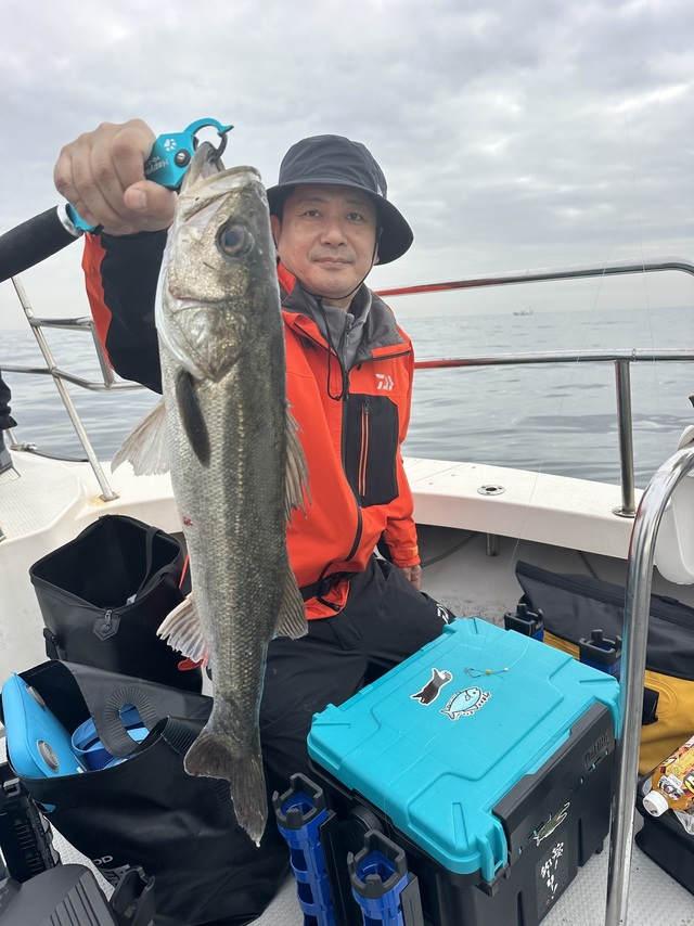 シーバス(スズキ)