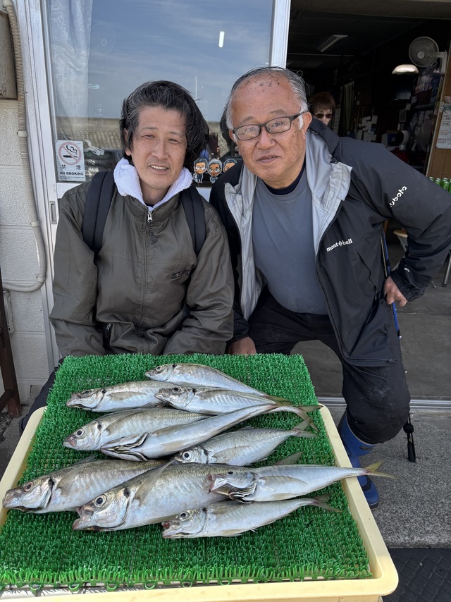 アジ(マアジ)