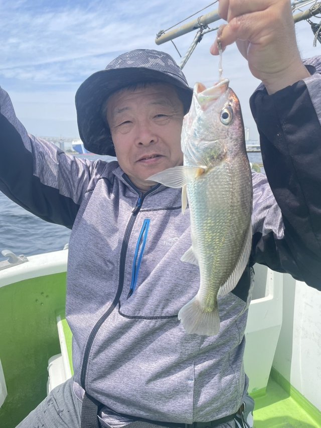 イシモチ(シログチ)