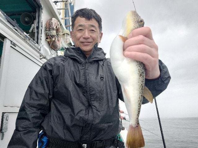 ショウサイフグ