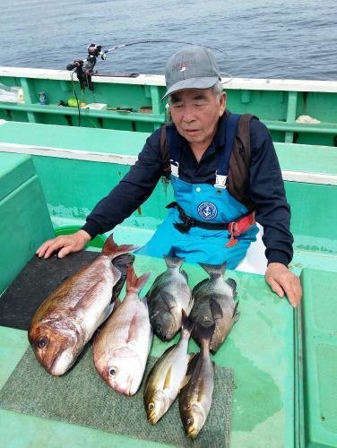 マダイ・メジナ・イサキ