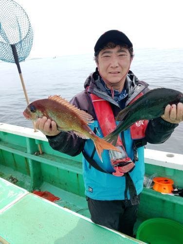 マダイ・メジナ