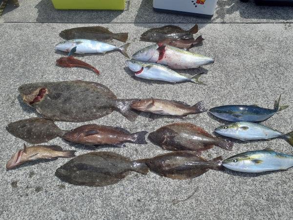 オオモンハタ・イナダ(ブリ)・ワラサ(ブリ)・ヒラメ