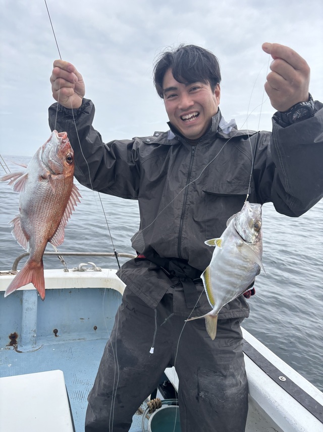 マダイ・カイワリ