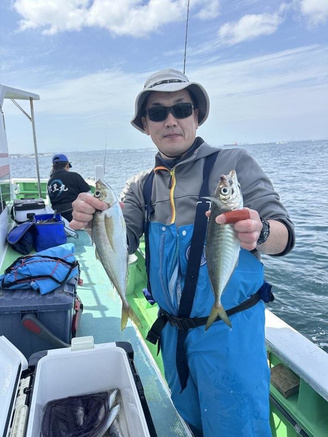 アジ(マアジ)