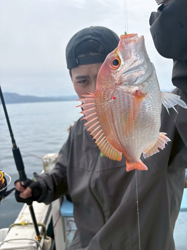 レンコ(キダイ)