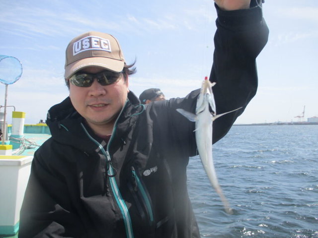 アジ(マアジ)