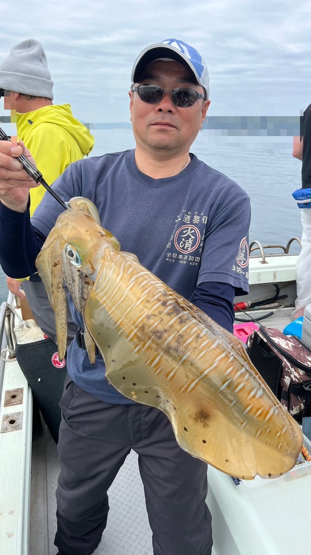 イカ(アオリイカ)