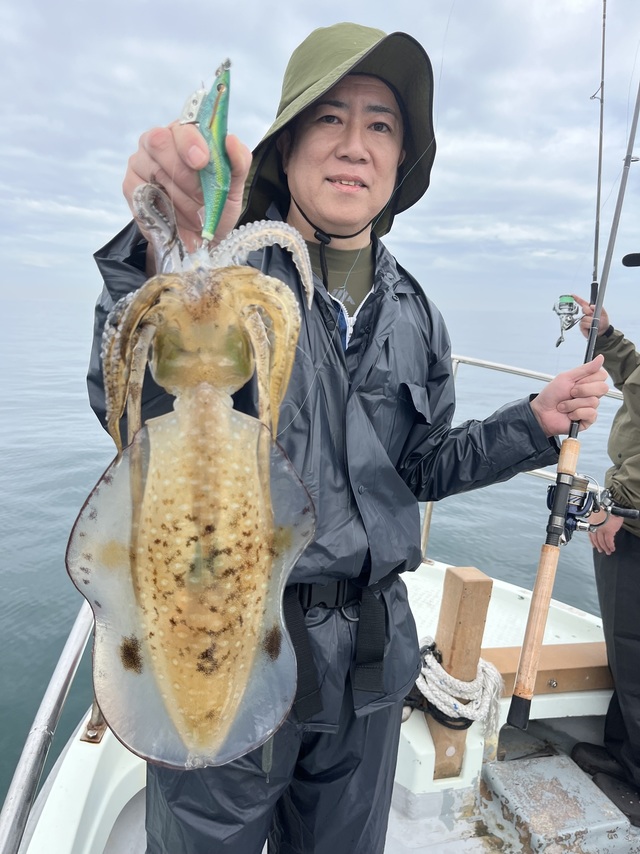 イカ(アオリイカ)