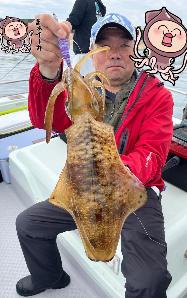 イカ(アオリイカ)