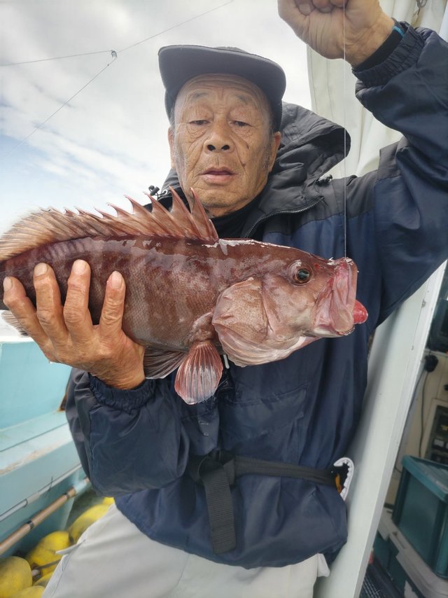マハタ