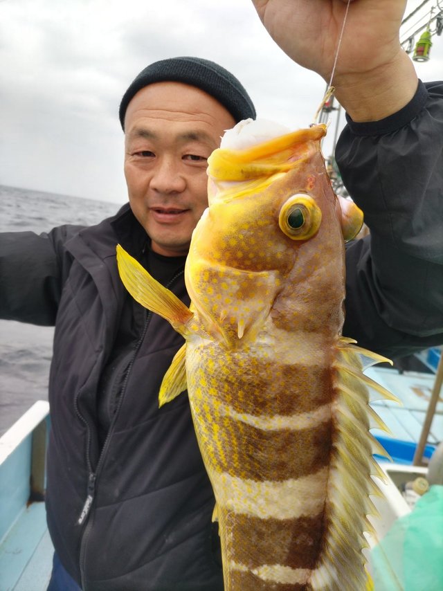 アオハタ
